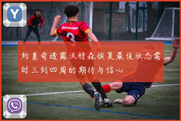 约基奇透露沃特森恢复最佳状态需时三到四周的期待与信心