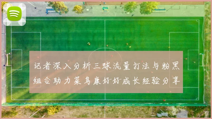 记者深入分析三球流量打法与粉黑组合助力菜鸟康好好成长经验分享