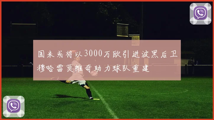 国米或将以3000万欧引进波黑后卫穆哈雷莫维奇助力球队重建