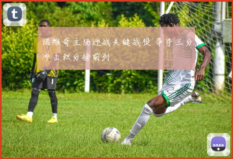 诺维奇主场迎战关键战役 争夺三分冲击积分榜前列
