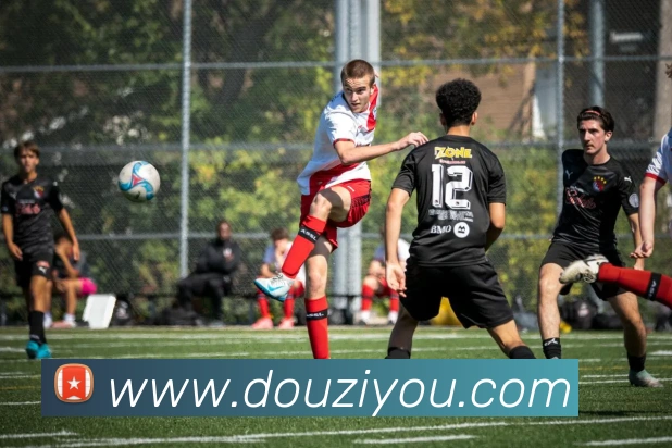 九游j9官网在线发展历程